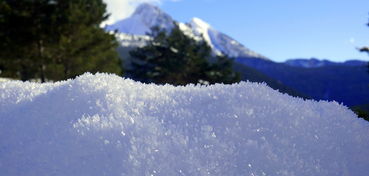 雪域狂飙，一款让你跃动冬日激情的滑雪小游戏揭秘