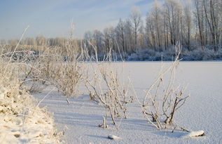 雪迷宫是一部充满神秘与浪漫色彩的电影，讲述了两个年轻人在雪地中迷路后，相互扶持、共同寻找出路的冒险故事。影片中，北燃和双向救赎的细节拉满了整个故事，让人感受到了人性的温暖与力量。