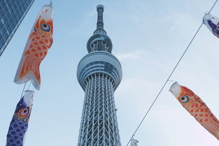 洛阳四日深度游，千年古都的穿越时空之旅