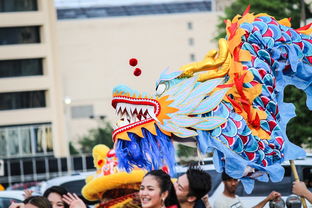 揭秘狂欢盛宴，揭秘各类嘉年华活动的门票价格与背后魅力