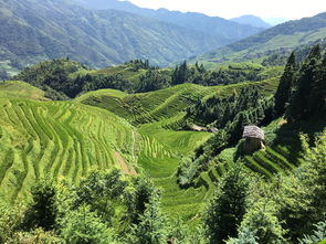 穿越千色山水，一步一景，桂林到云南的完美自驾游攻略