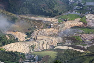 探秘华夏大地上的多元瑰宝——揭秘中国56个民族的壮丽画卷