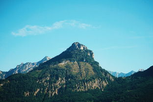 泰山，作为中国五岳之首，以其壮丽的自然景观和深厚的文化底蕴吸引了无数游客。然而，近日，一场别开生面的教做人活动在泰山景区展开，吸引了万余名游客的参与。