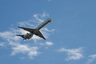 揭秘云端之旅，探索宿雾航空的飞行魅力与服务细节