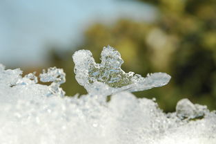 探秘小雪，一场轻盈的冬之礼遇