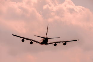 揭秘航空业新现象，飞机在乘客未全登机时起飞背后的故事